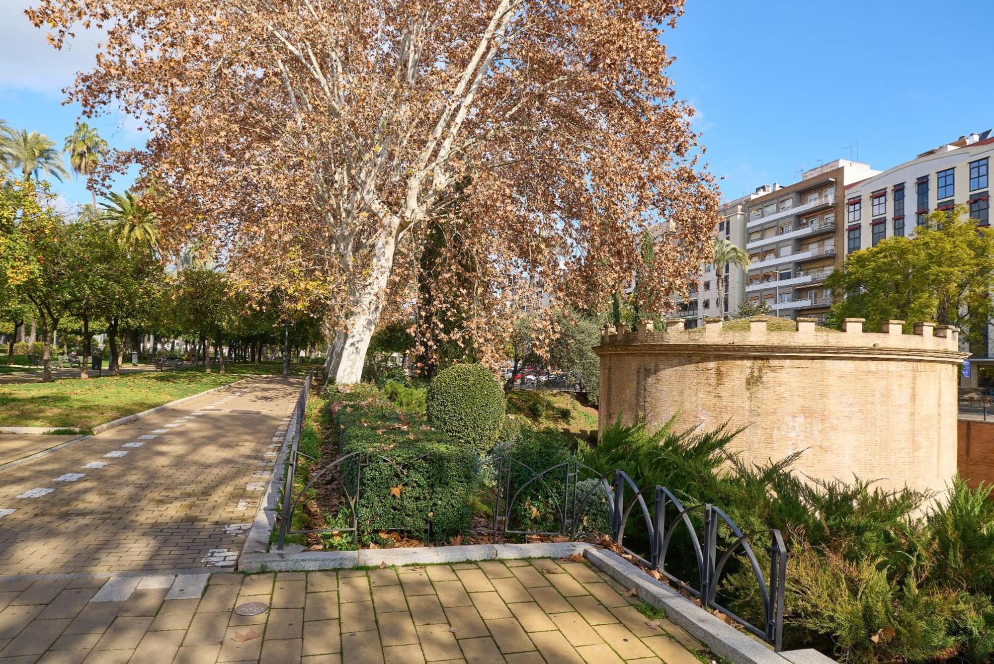 Apartamento Centro Córdoba Eksteriør bilde